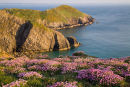 Porth y Bwch